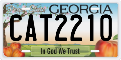 GA license plate CAT2210