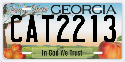 GA license plate CAT2213