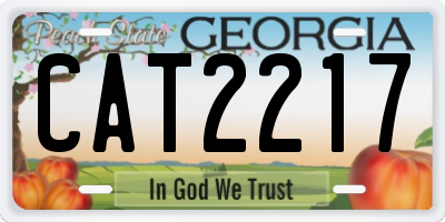 GA license plate CAT2217