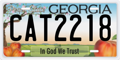 GA license plate CAT2218