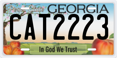 GA license plate CAT2223