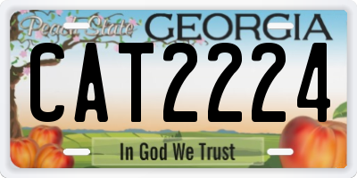 GA license plate CAT2224