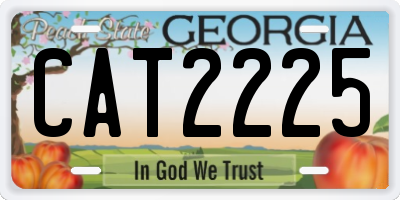 GA license plate CAT2225