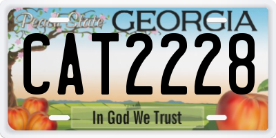 GA license plate CAT2228