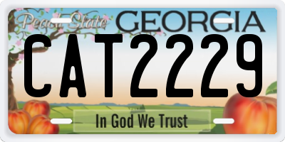 GA license plate CAT2229