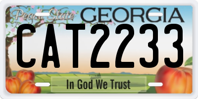 GA license plate CAT2233