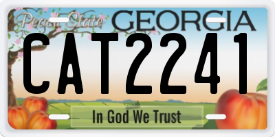 GA license plate CAT2241