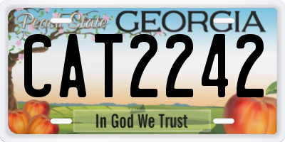 GA license plate CAT2242