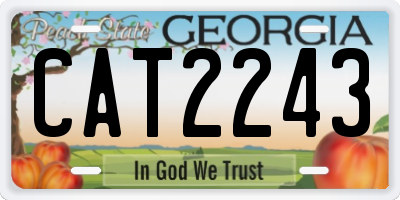 GA license plate CAT2243