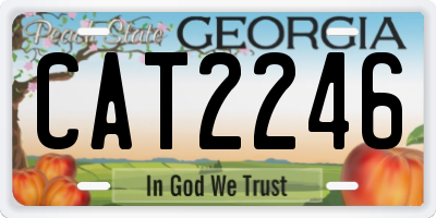 GA license plate CAT2246