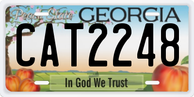 GA license plate CAT2248