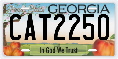 GA license plate CAT2250