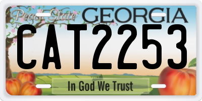 GA license plate CAT2253
