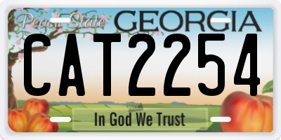 GA license plate CAT2254