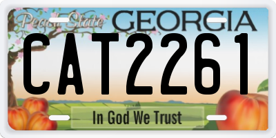 GA license plate CAT2261