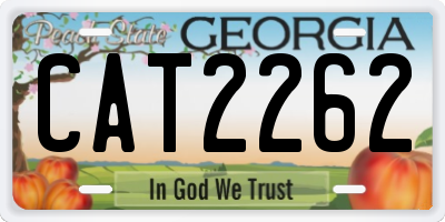 GA license plate CAT2262