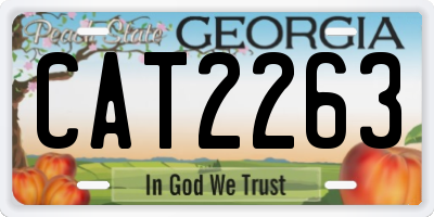 GA license plate CAT2263