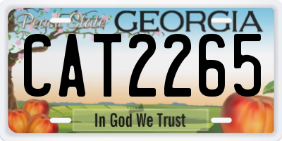 GA license plate CAT2265