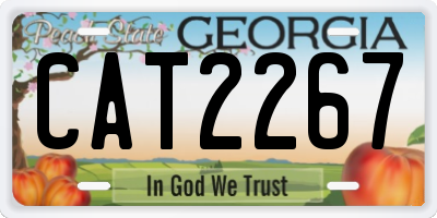 GA license plate CAT2267