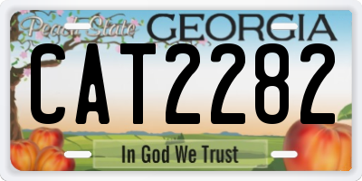 GA license plate CAT2282