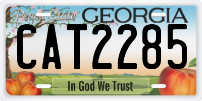 GA license plate CAT2285