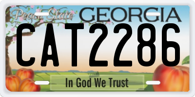 GA license plate CAT2286