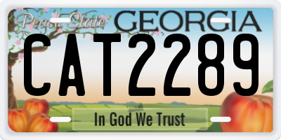 GA license plate CAT2289