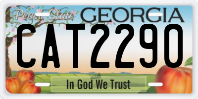 GA license plate CAT2290