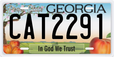 GA license plate CAT2291