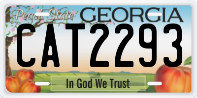 GA license plate CAT2293