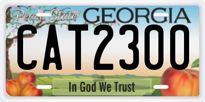 GA license plate CAT2300