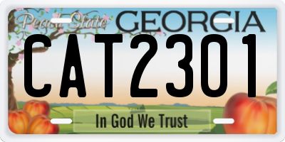 GA license plate CAT2301