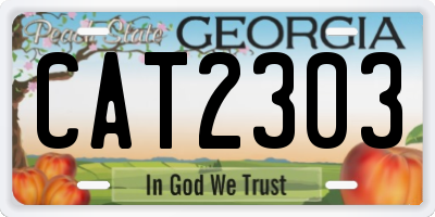 GA license plate CAT2303