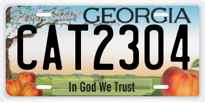 GA license plate CAT2304