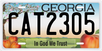 GA license plate CAT2305