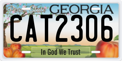 GA license plate CAT2306