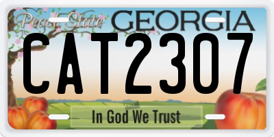 GA license plate CAT2307