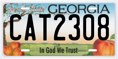 GA license plate CAT2308