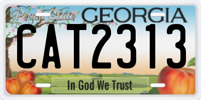 GA license plate CAT2313