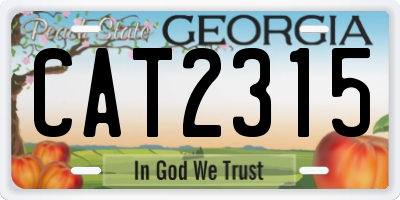 GA license plate CAT2315