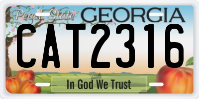 GA license plate CAT2316
