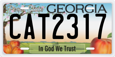 GA license plate CAT2317