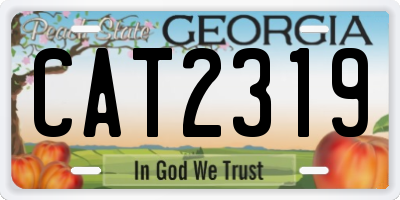 GA license plate CAT2319