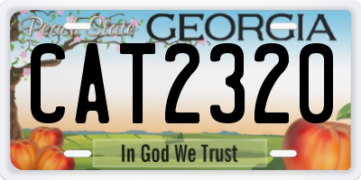 GA license plate CAT2320