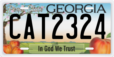 GA license plate CAT2324
