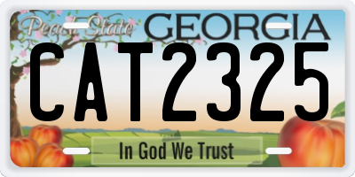 GA license plate CAT2325