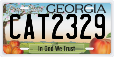 GA license plate CAT2329