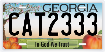 GA license plate CAT2333