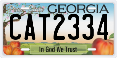 GA license plate CAT2334