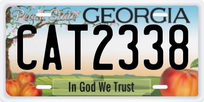 GA license plate CAT2338